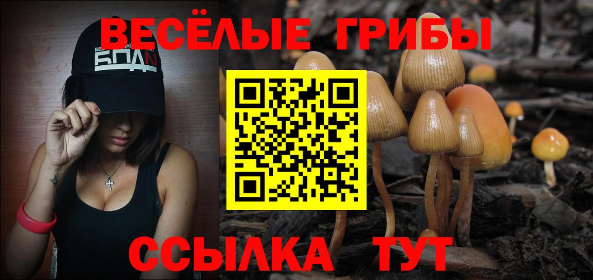 Псилоцибиновые грибы Cubensis Фрязино