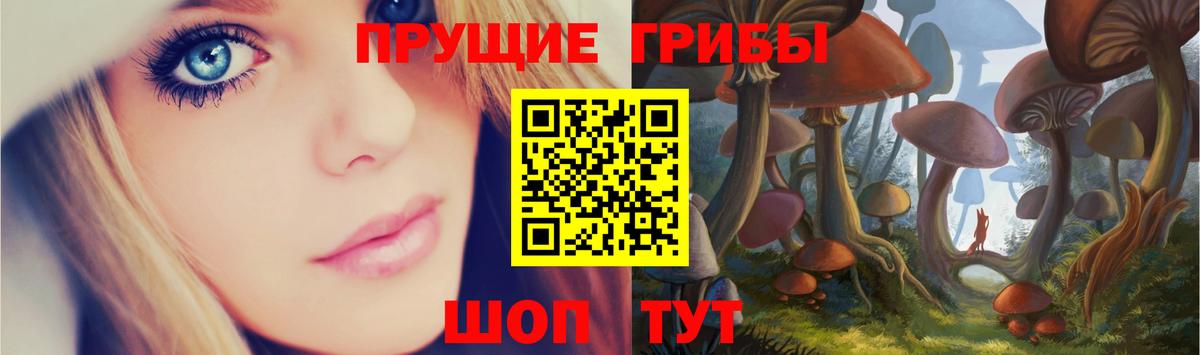 Галлюциногенные грибы прущие грибы  Галлюциногенные грибы Psilocybine cubensis  наркотики  Фрязино  Вход с VPN 